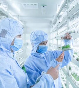 糖心LOGO视频免费观看技术